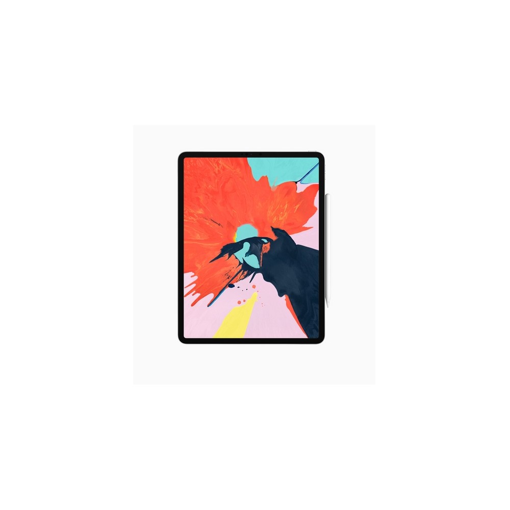 APPLE USATO PREMIUM iPad Pro 12 9" (2018 - 3th gen) Wi-Fi - 64GB Argento - USATO GRADO A In Vendita