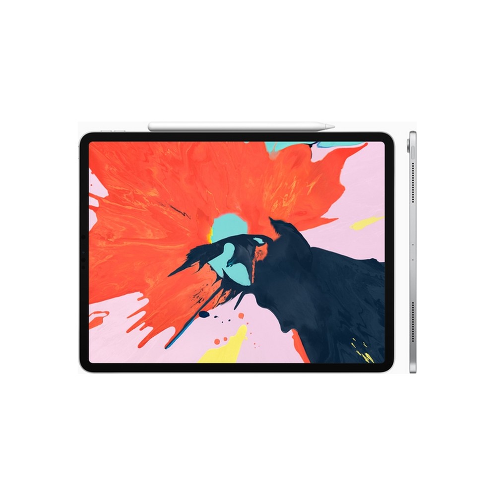 APPLE USATO PREMIUM iPad Pro 12 9" (2018 - 3th gen) Wi-Fi - 64GB Argento - USATO GRADO A In Vendita
