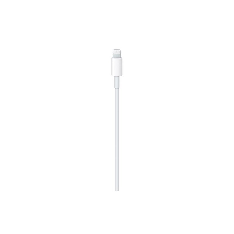 APPLE Cavo Apple Lightning a USB-C Convenienza