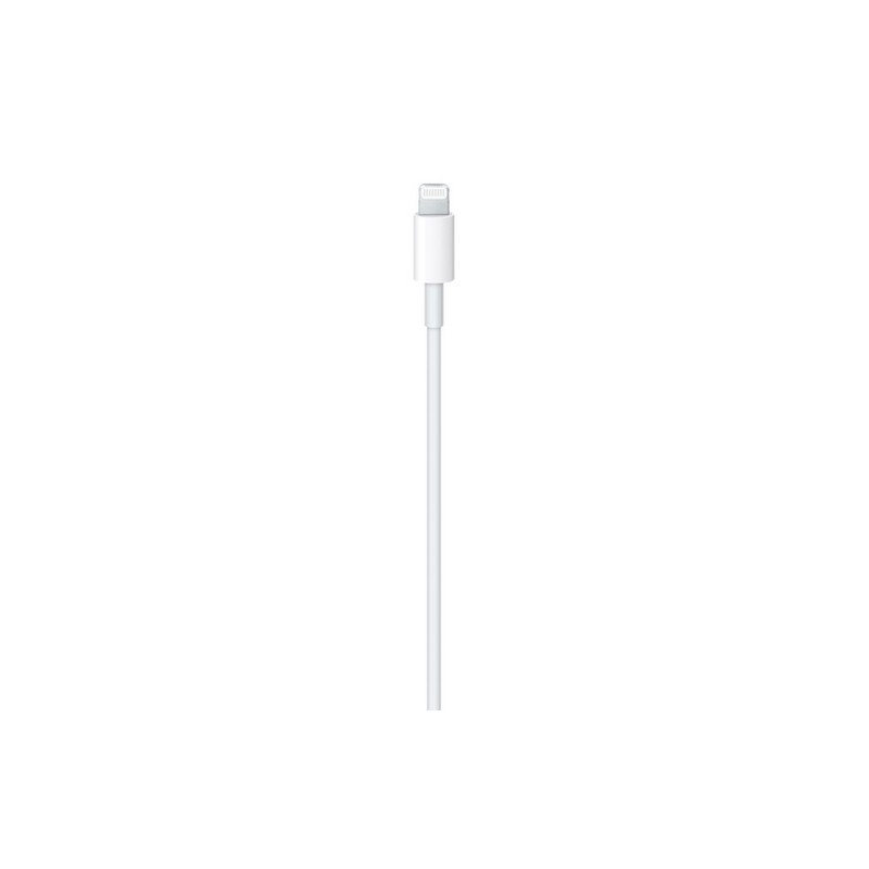 APPLE CAVO APPLE LIGHTNING USB-C Italy