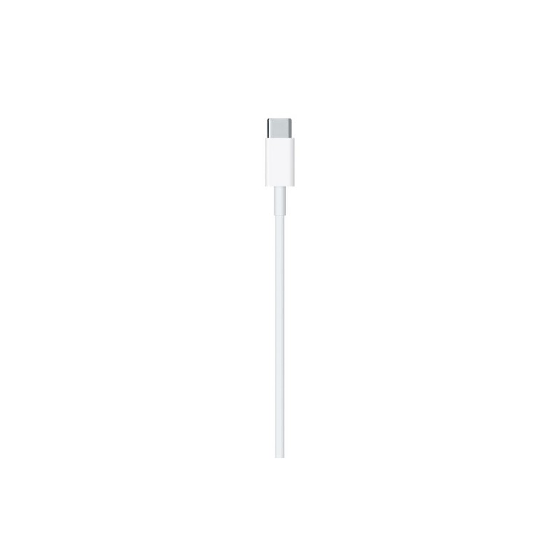APPLE CAVO APPLE LIGHTNING USB-C Italy