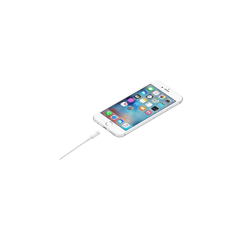 APPLE CAVO APPLE DA LIGHTNING A USB Economico