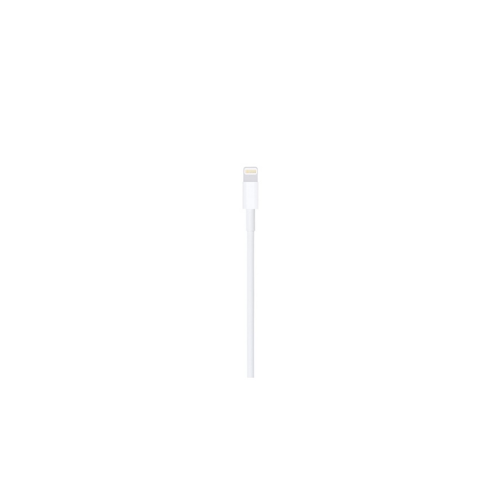 APPLE CAVO APPLE DA LIGHTNING A USB Economico