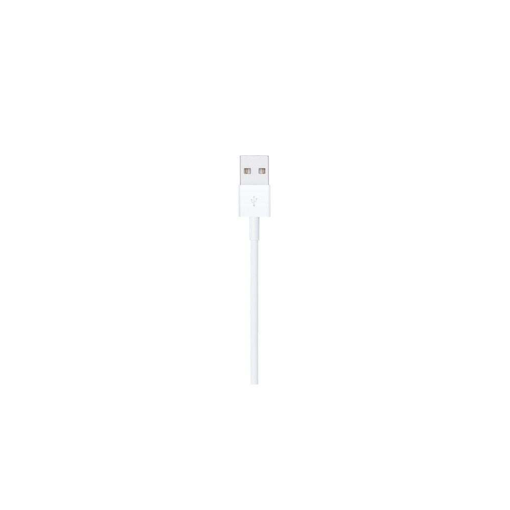 APPLE CAVO APPLE DA LIGHTNING A USB Economico